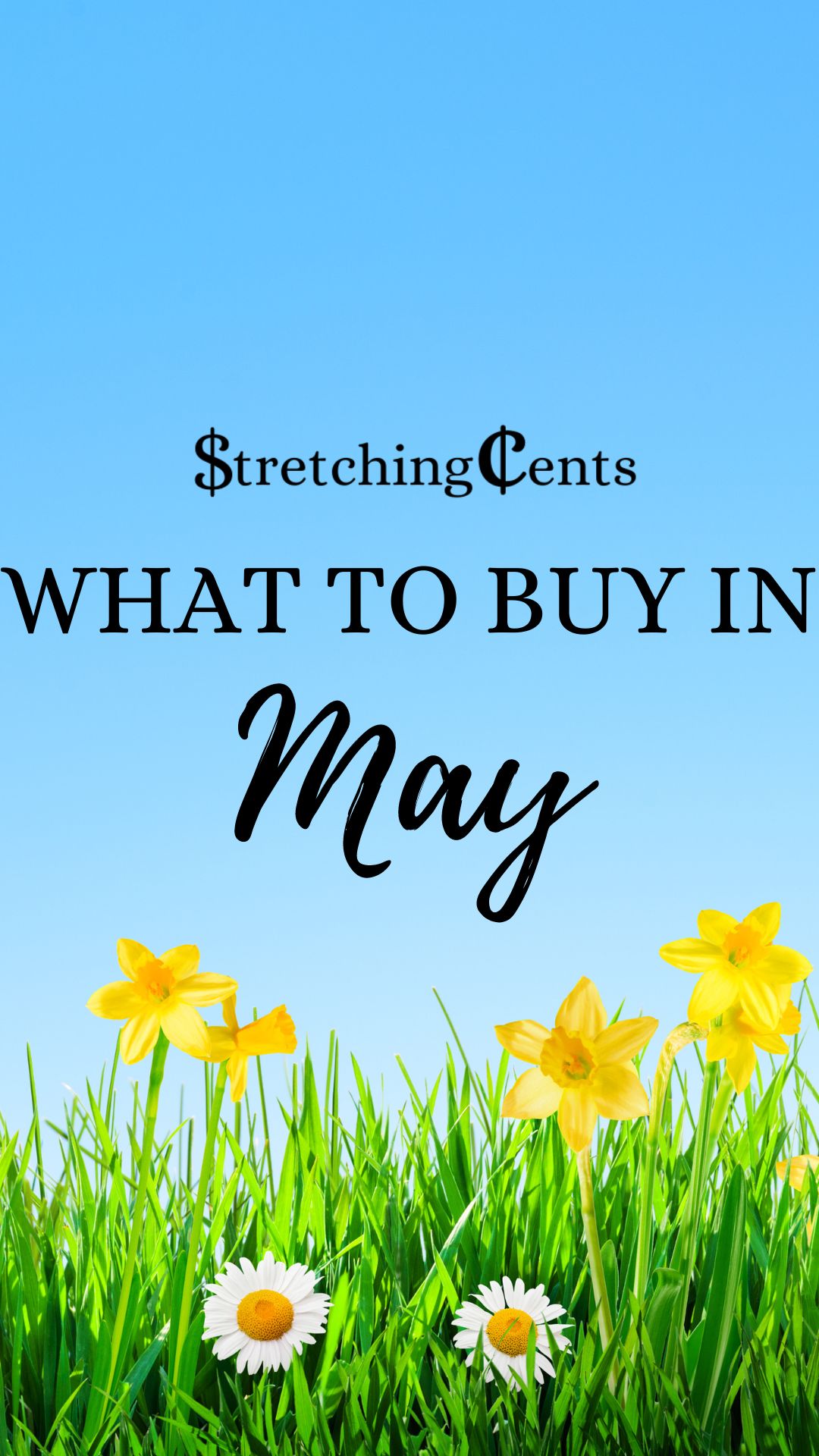 What To Buy (and Skip) In May • Stretching Cents Landing